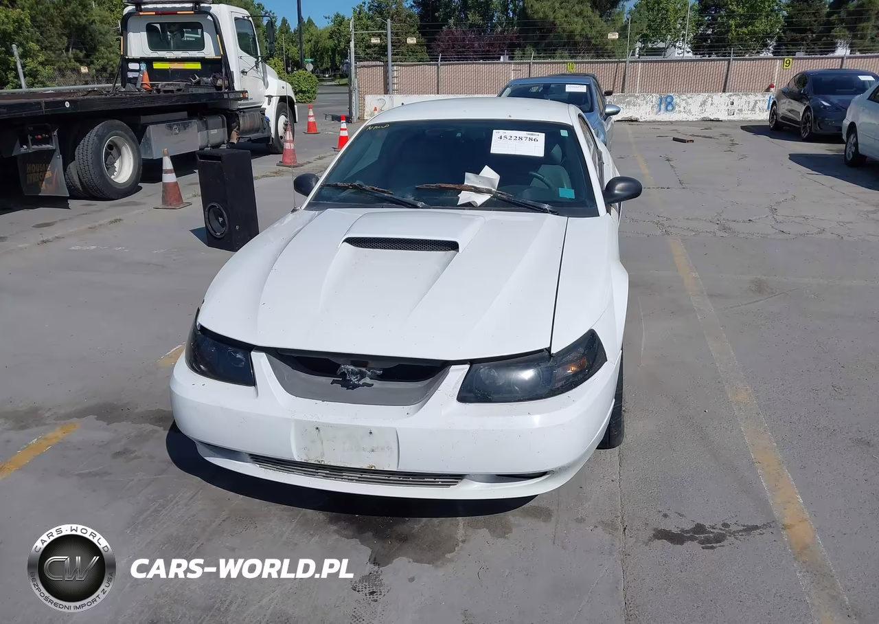 2004 Ford Mustang Gt VIN:1FAFP42X04F111289 - 6