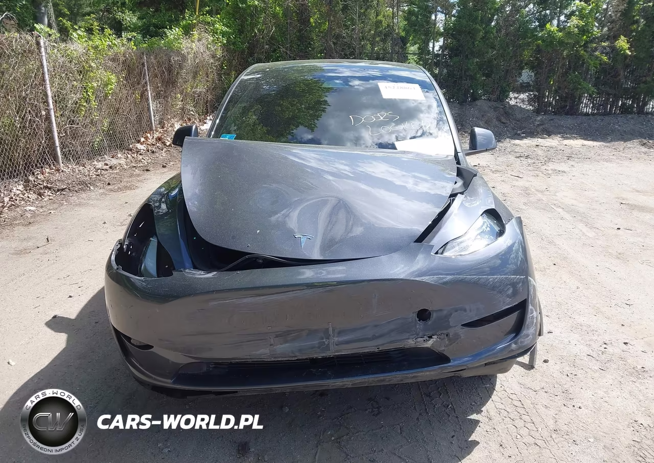 2023 Tesla Model Y Awd-Long Range Dual Motor All-Wheel Drive VIN:7SAYGDEE6PF894207 - 12