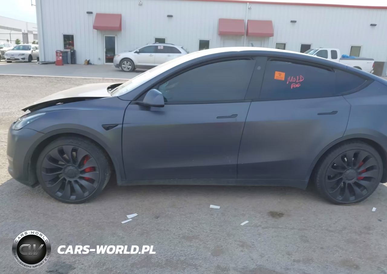 2023 Tesla Model Y Performance Dual Motor All-Wheel Drive VIN:7SAYGDEFXPF802279 - 12