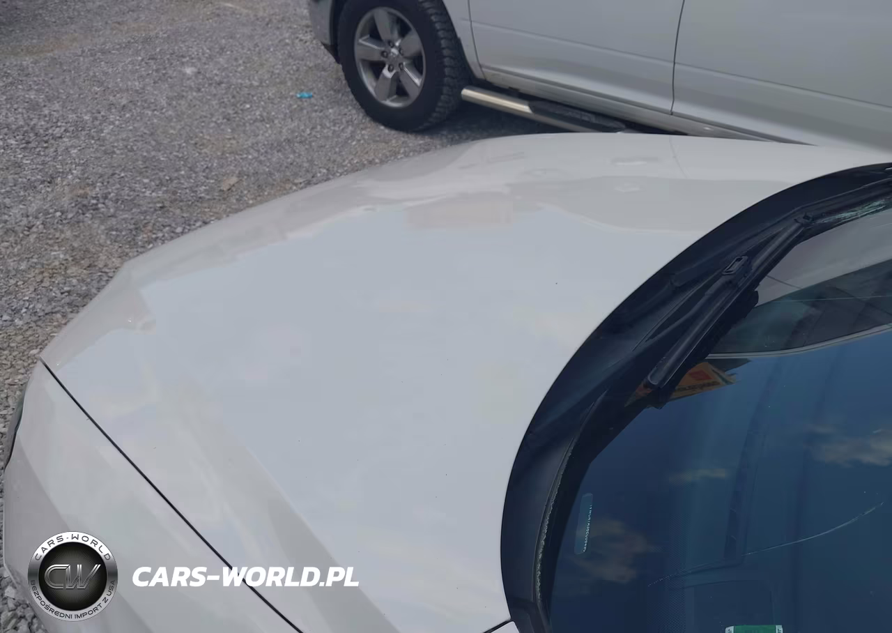2014 Volkswagen Passat 2.0L Tdi Sel Premium VIN:1VWCN7A36EC064904 - 13