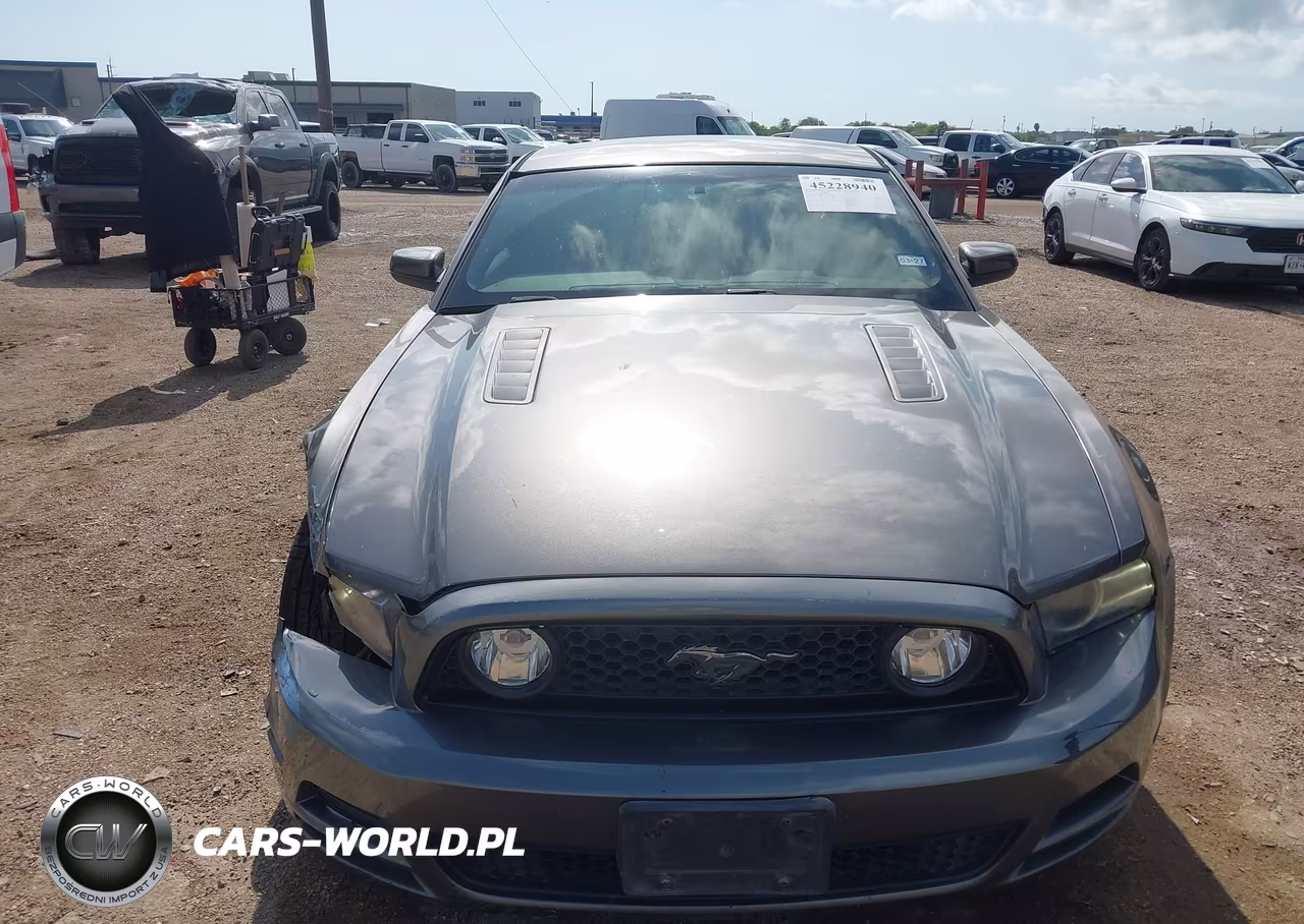 2014 Ford Mustang Gt VIN:1ZVBP8CF4E5309805 - 13