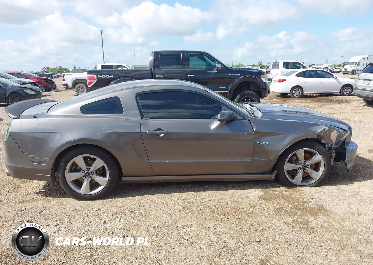 2014 Ford Mustang Gt VIN:1ZVBP8CF4E5309805 - 14