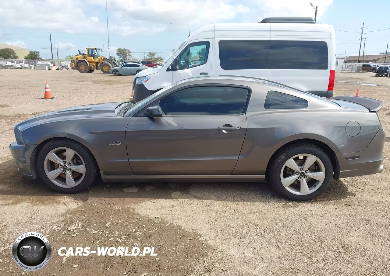 2014 Ford Mustang Gt VIN:1ZVBP8CF4E5309805 - 15