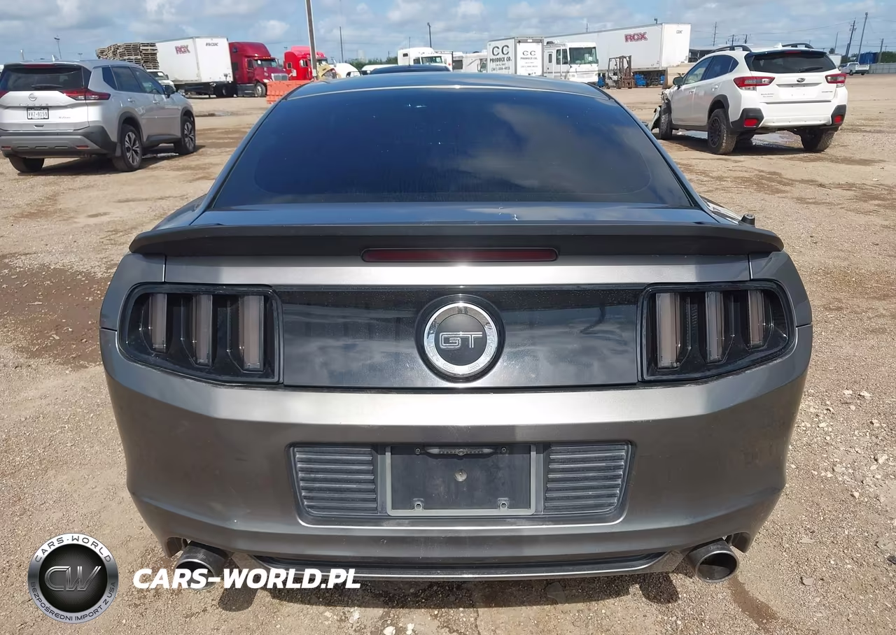 2014 Ford Mustang Gt VIN:1ZVBP8CF4E5309805 - 17