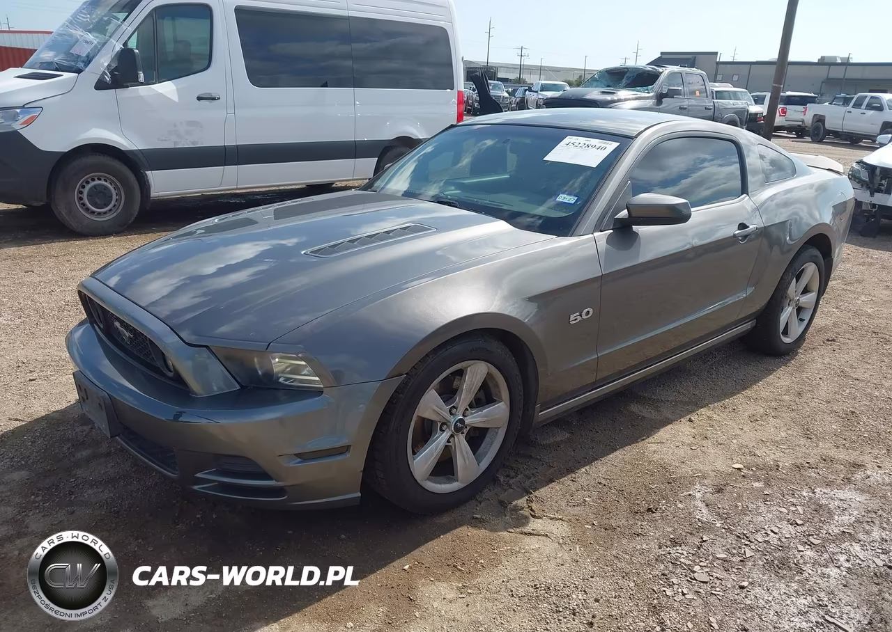 2014 Ford Mustang Gt VIN:1ZVBP8CF4E5309805 - 2