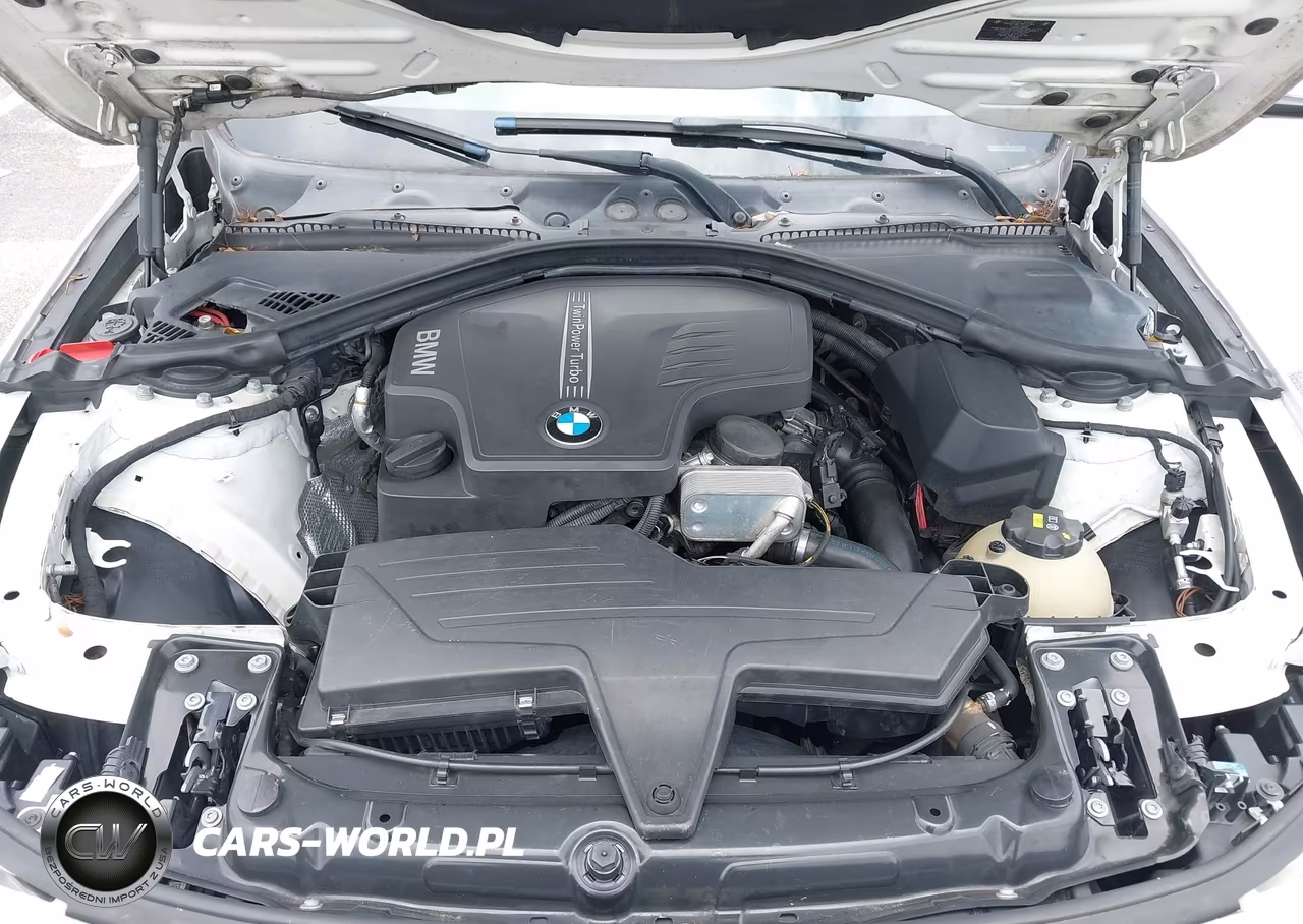 2015 BMW 320I VIN:WBA3B1G51FNT07443 - 10