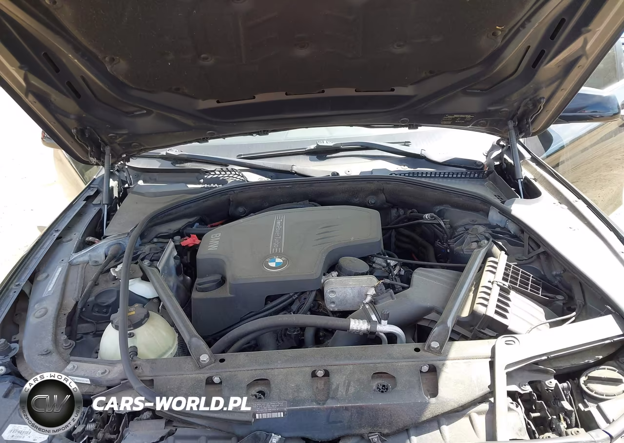 2013 BMW 528I xDrive VIN:WBAXH5C59DDW13662 - 10