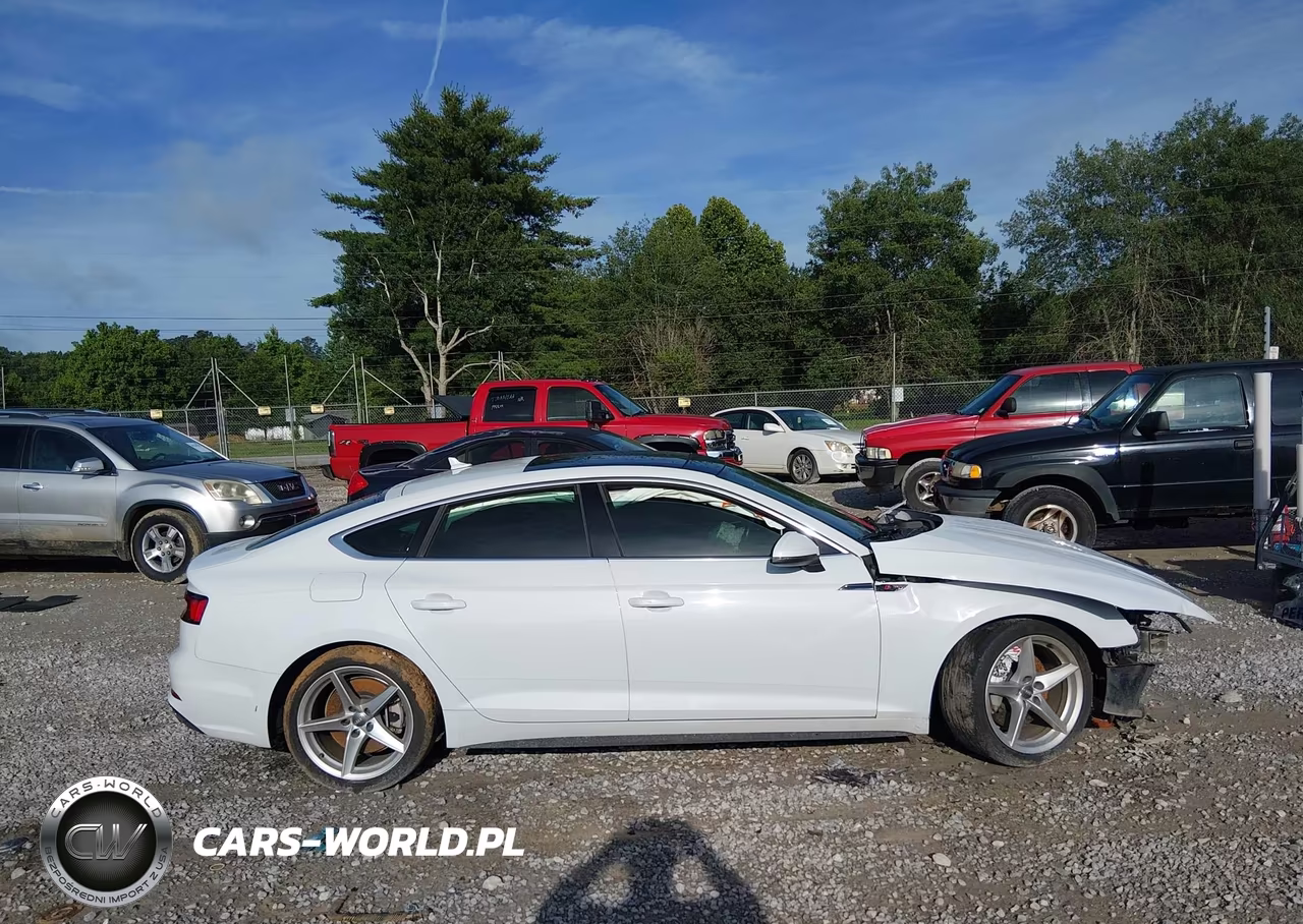 2019 Audi A5 Premium Plus S-Line VIN:WAUENCF57KA098658 - 12