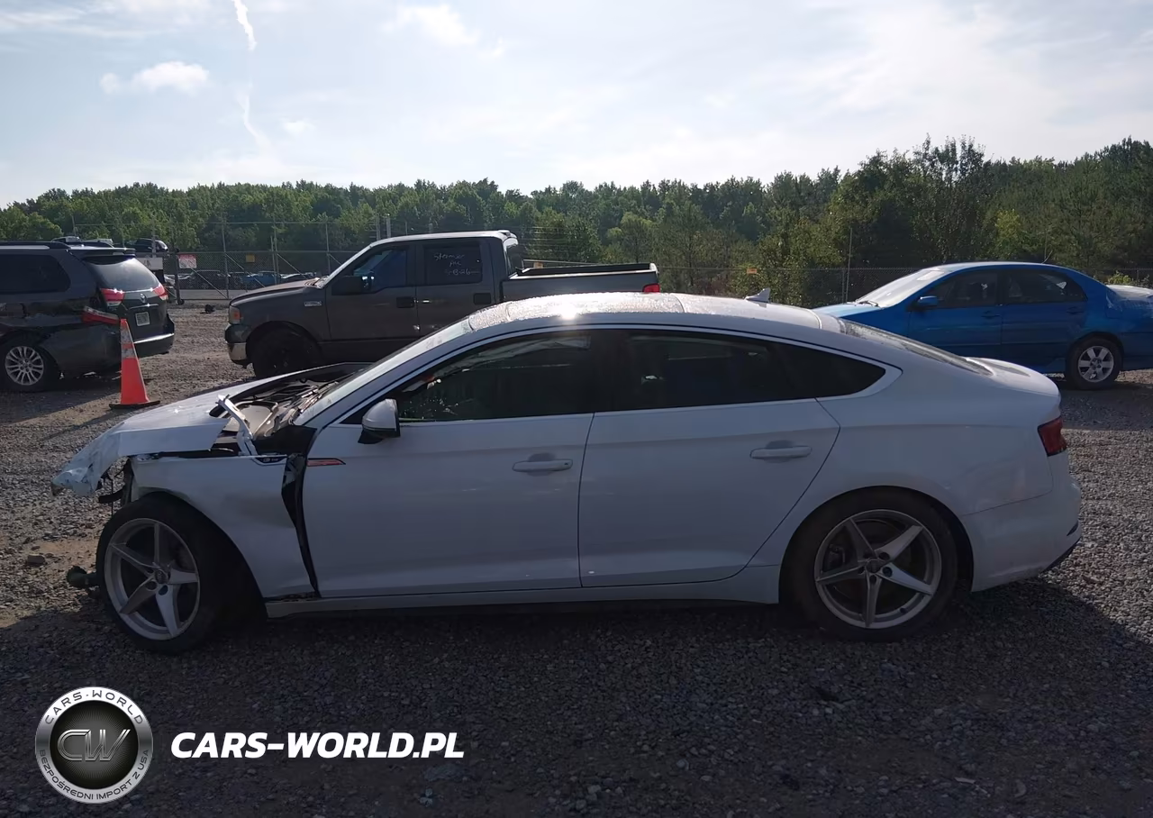 2019 Audi A5 Premium Plus S-Line VIN:WAUENCF57KA098658 - 13