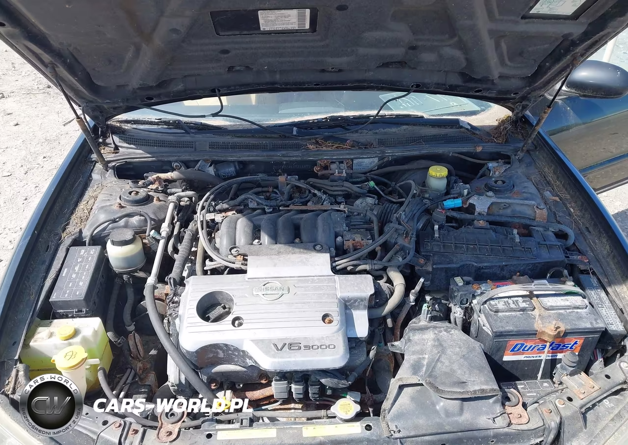 2001 Nissan Maxima Se VIN:JN1CA31A61T314872 - 10