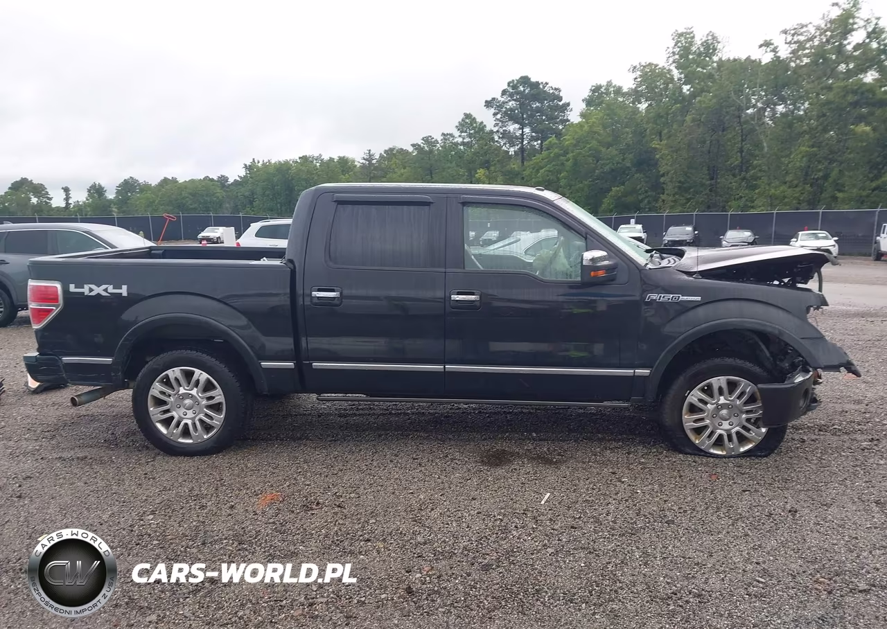 2010 Ford F-150 Fx4-Harley-Davidson-King Ranch-Lariat-Platinum-Xl-Xlt VIN:1FTFW1EV5AFA31925 - 14