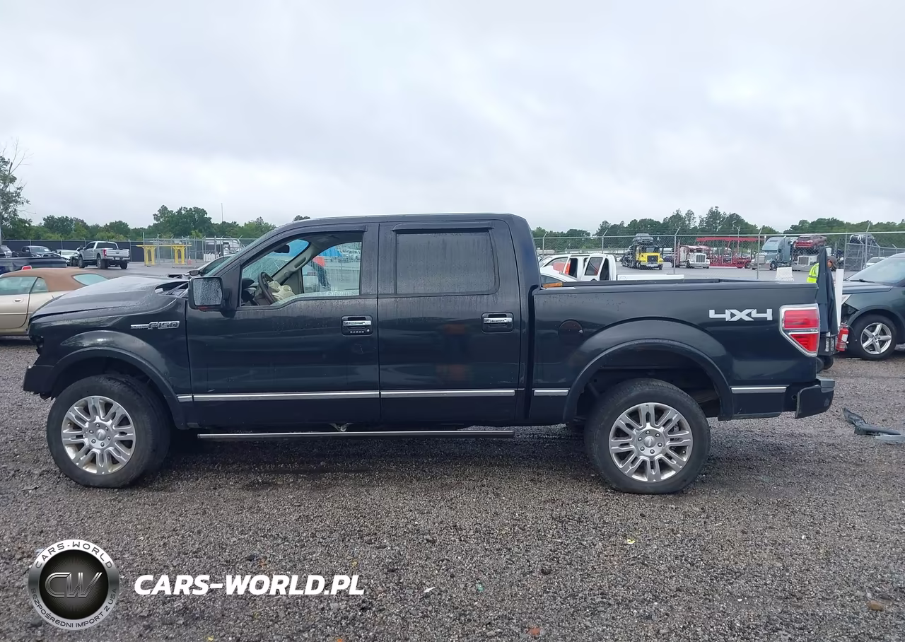 2010 Ford F-150 Fx4-Harley-Davidson-King Ranch-Lariat-Platinum-Xl-Xlt VIN:1FTFW1EV5AFA31925 - 15