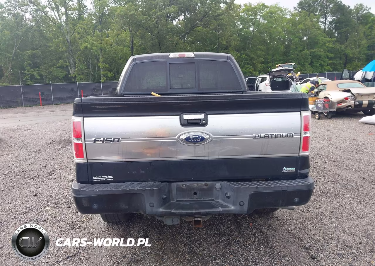 2010 Ford F-150 Fx4-Harley-Davidson-King Ranch-Lariat-Platinum-Xl-Xlt VIN:1FTFW1EV5AFA31925 - 17