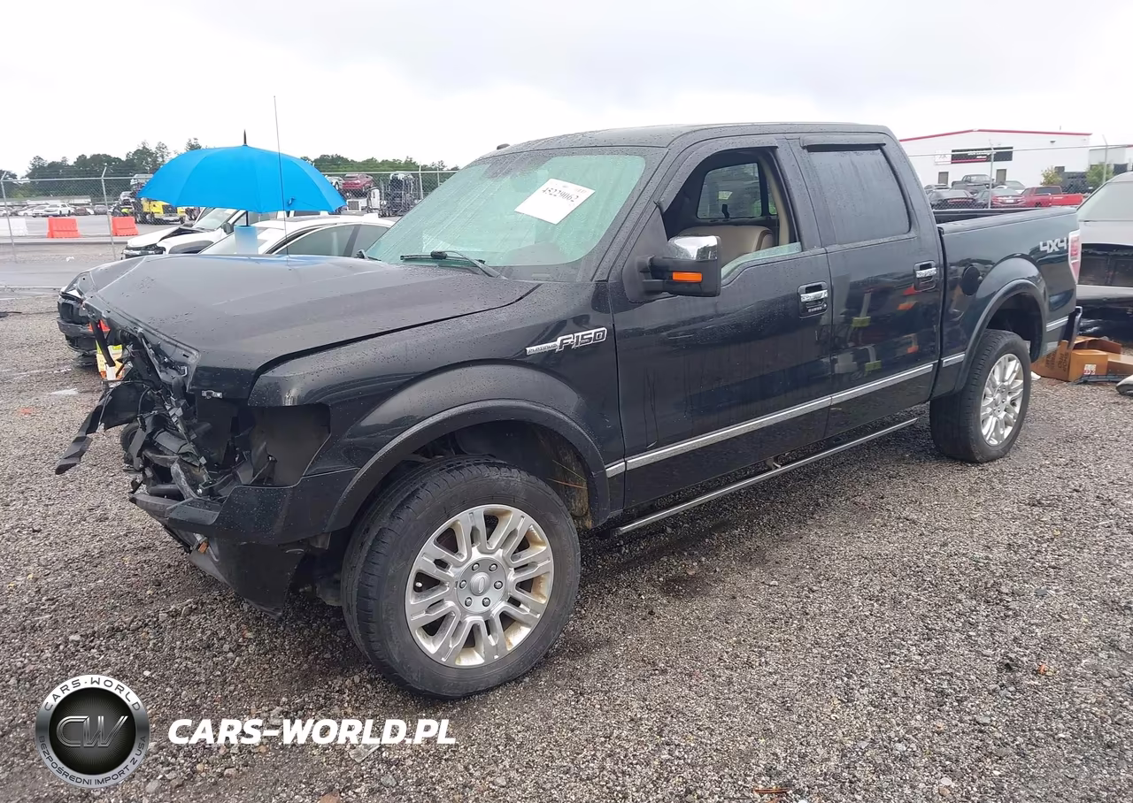 2010 Ford F-150 Fx4-Harley-Davidson-King Ranch-Lariat-Platinum-Xl-Xlt VIN:1FTFW1EV5AFA31925 - 2