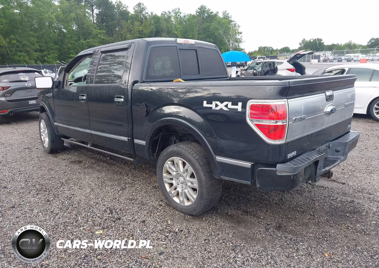 2010 Ford F-150 Fx4-Harley-Davidson-King Ranch-Lariat-Platinum-Xl-Xlt VIN:1FTFW1EV5AFA31925 - 3