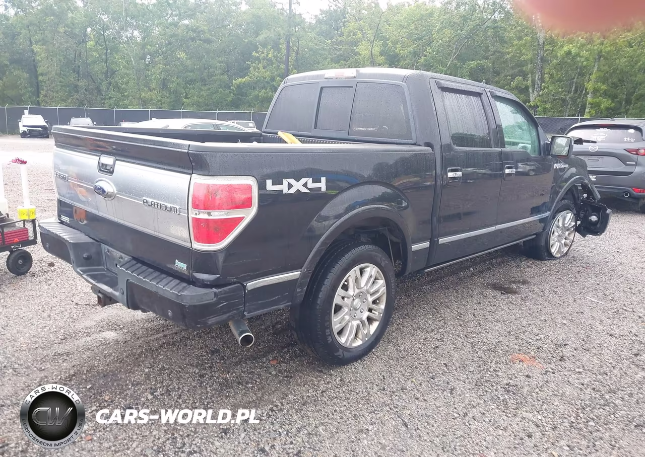 2010 Ford F-150 Fx4-Harley-Davidson-King Ranch-Lariat-Platinum-Xl-Xlt VIN:1FTFW1EV5AFA31925 - 4