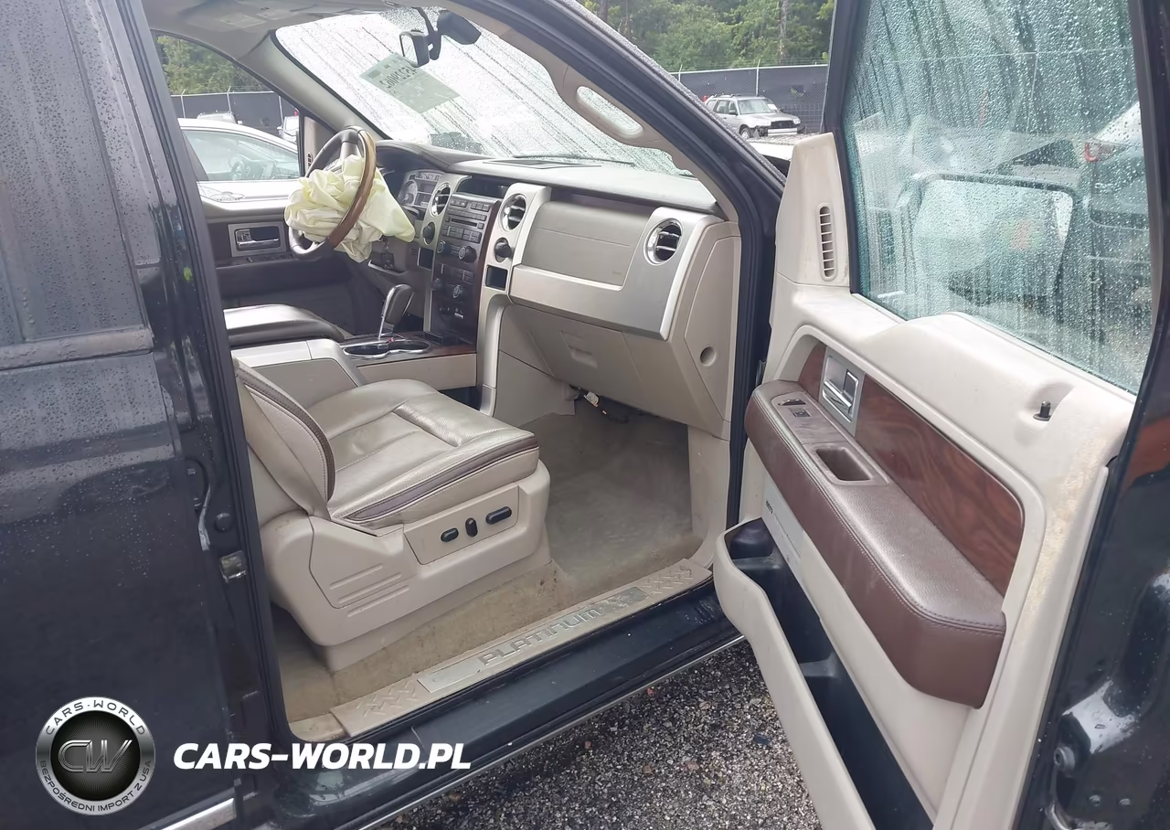 2010 Ford F-150 Fx4-Harley-Davidson-King Ranch-Lariat-Platinum-Xl-Xlt VIN:1FTFW1EV5AFA31925 - 5