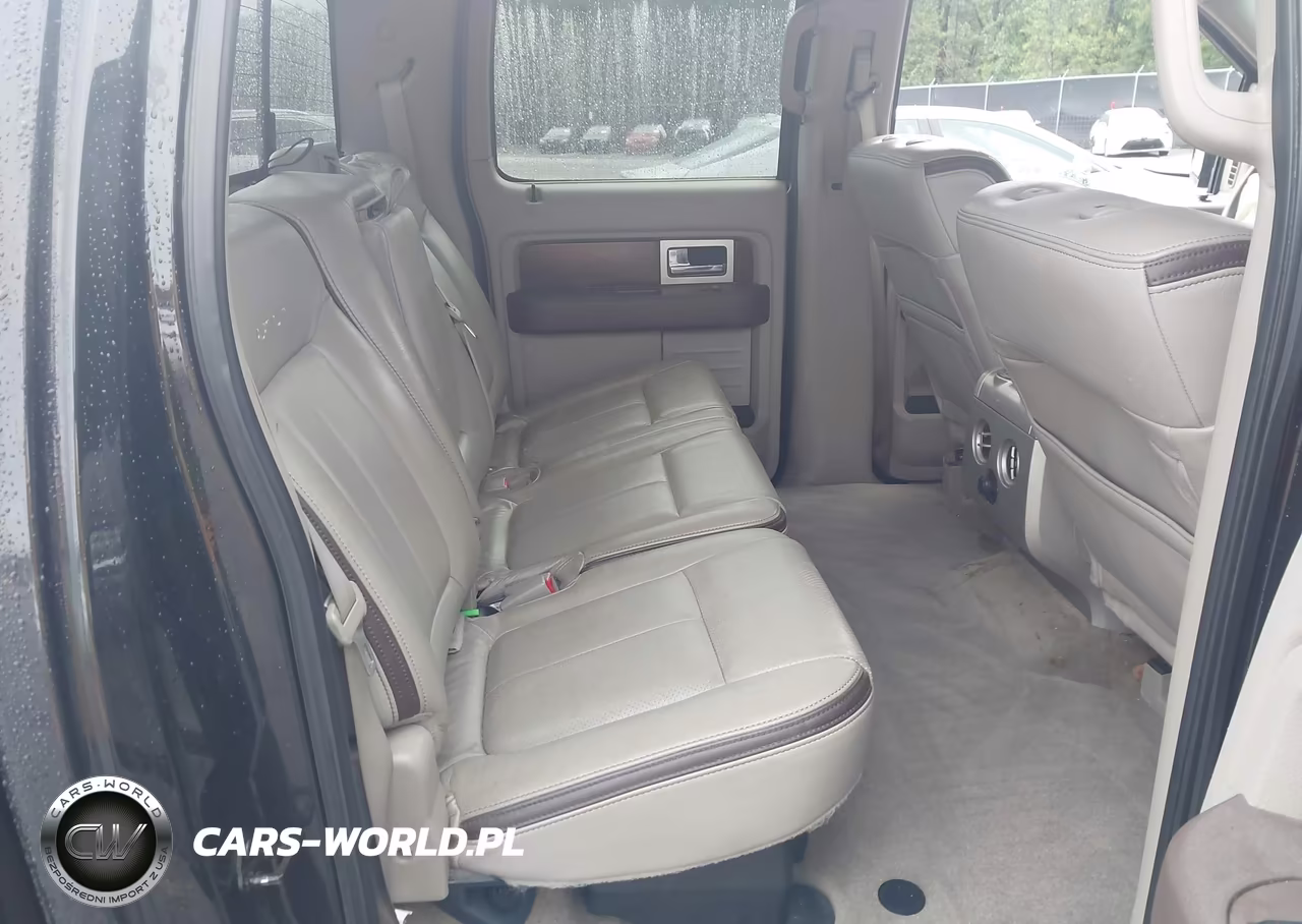 2010 Ford F-150 Fx4-Harley-Davidson-King Ranch-Lariat-Platinum-Xl-Xlt VIN:1FTFW1EV5AFA31925 - 8