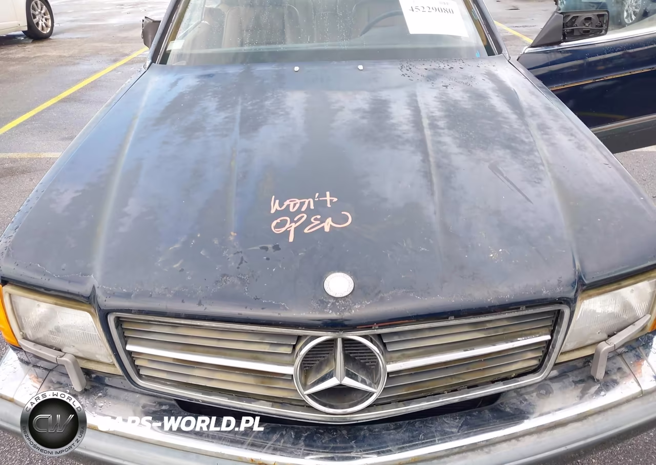 1986 Mercedes-Benz 560 Sec VIN:WDBCA45D4GA232830 - 10