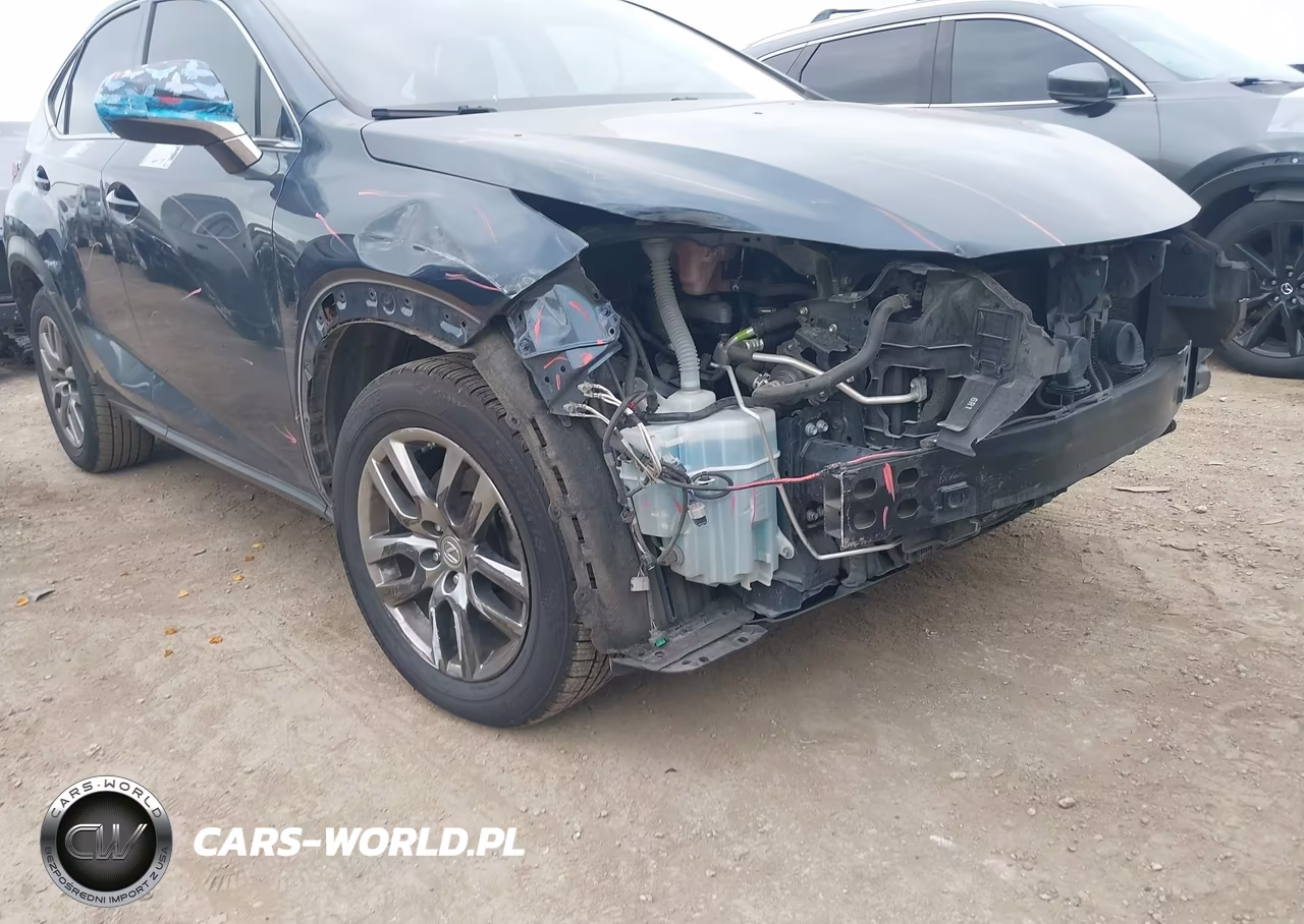 2015 Lexus Nx 200T VIN:JTJYARBZ4F2013702 - 6
