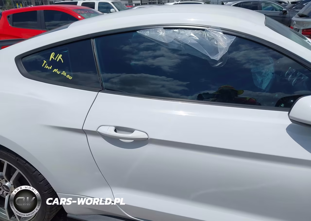 2016 Ford Mustang Ecoboost VIN:1FA6P8TH2G5266788 - 12