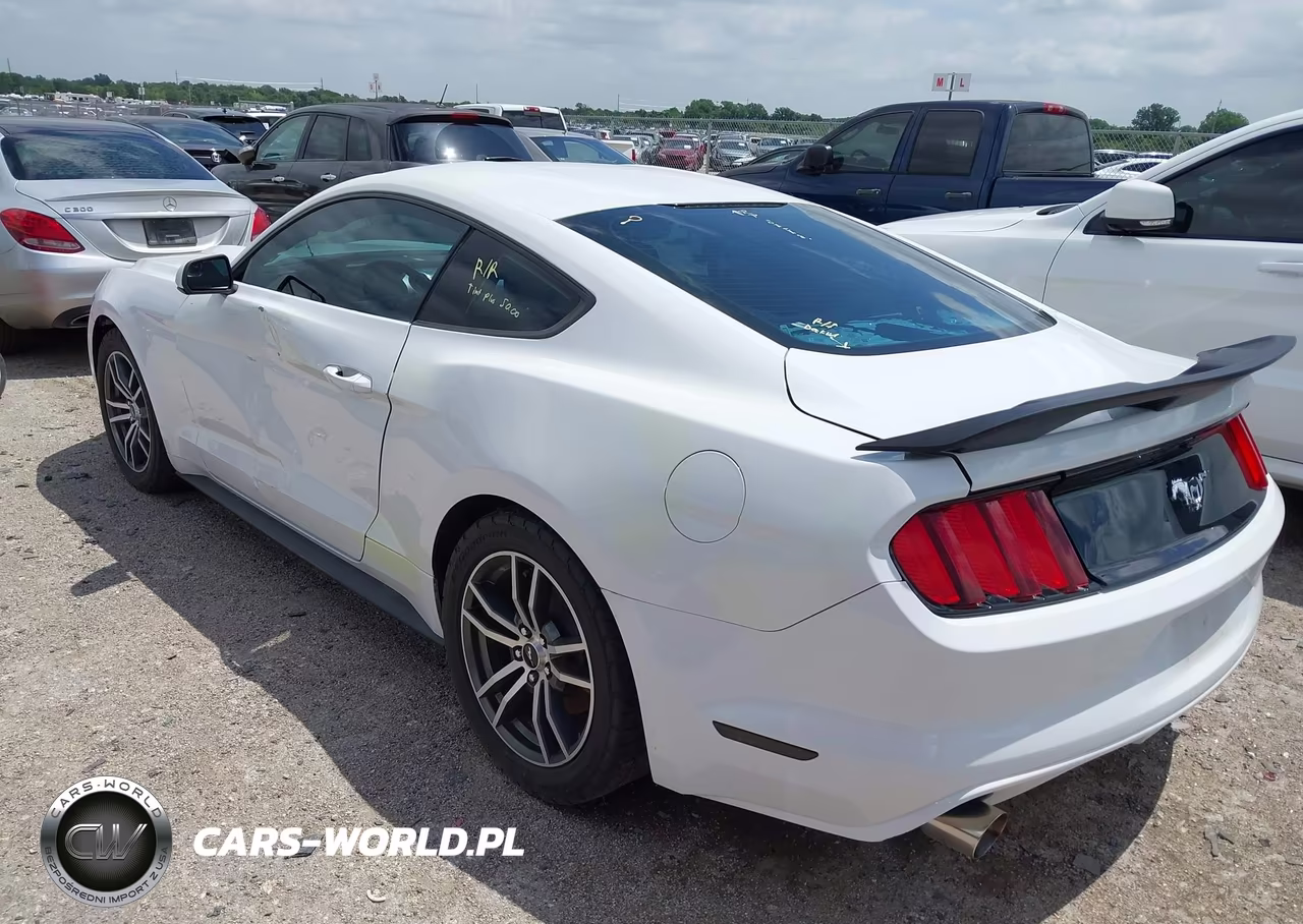 2016 Ford Mustang Ecoboost VIN:1FA6P8TH2G5266788 - 3