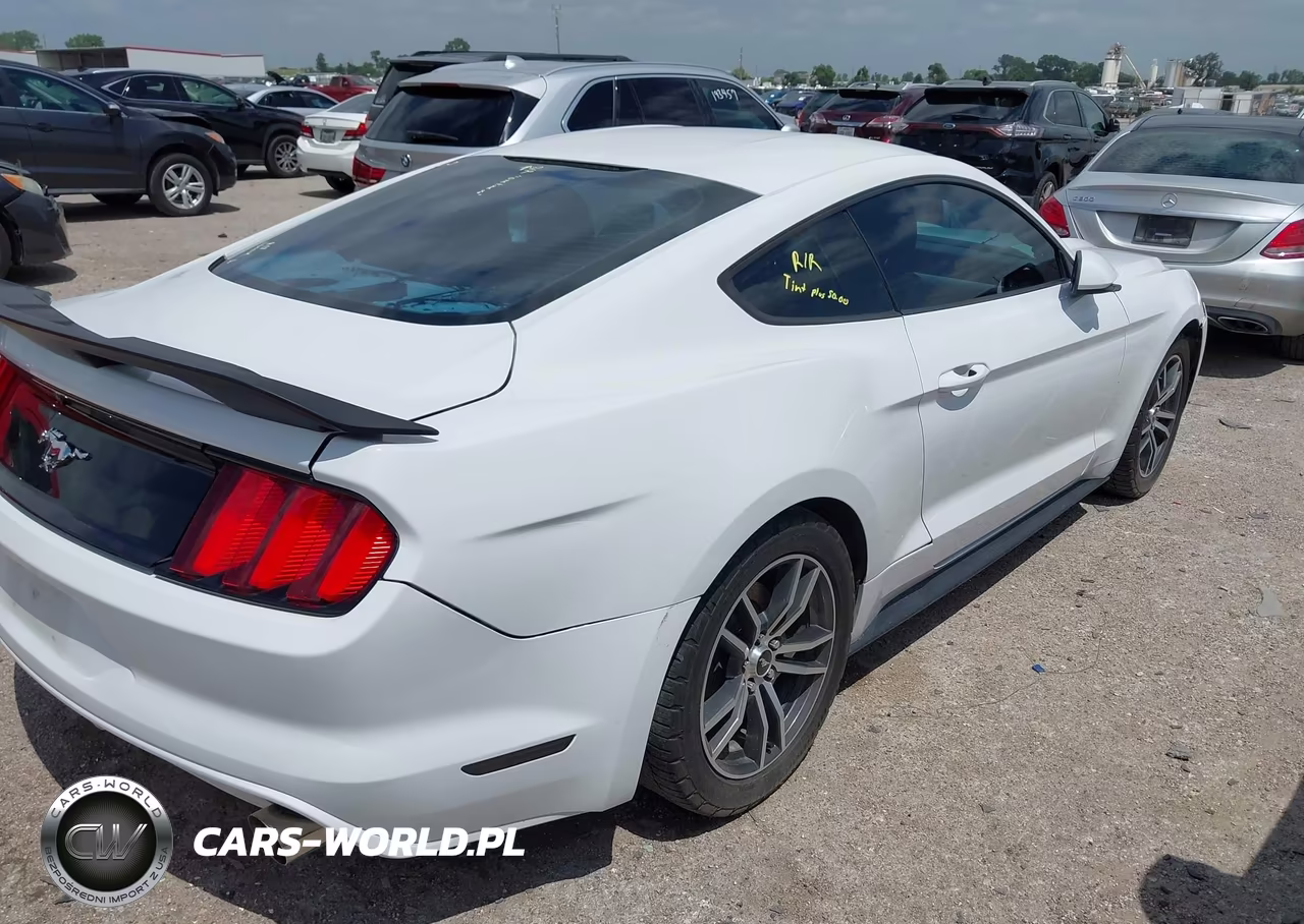 2016 Ford Mustang Ecoboost VIN:1FA6P8TH2G5266788 - 4