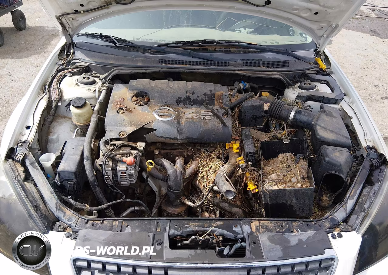 2006 Nissan Altima 2.5 S VIN:1N4AL11D46C142111 - 10
