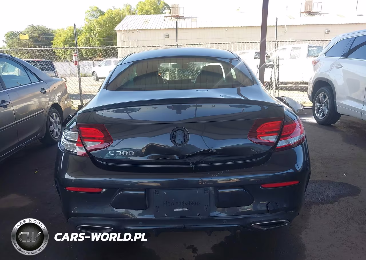 2019 Mercedes-Benz C 300 VIN:WDDWJ8DB7KF779145 - 17