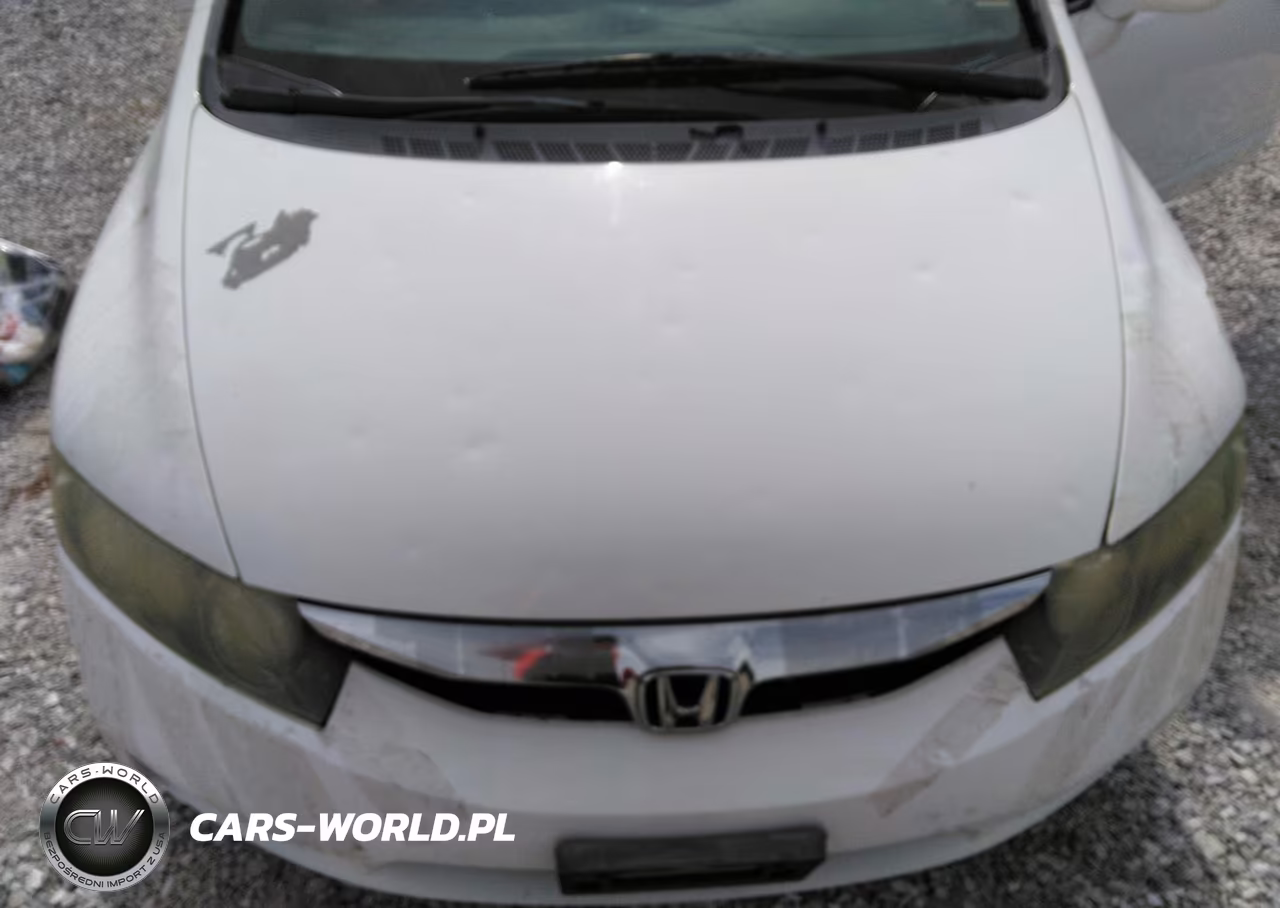 2010 Honda Civic Lx VIN:19XFA1F54AE030854 - 12