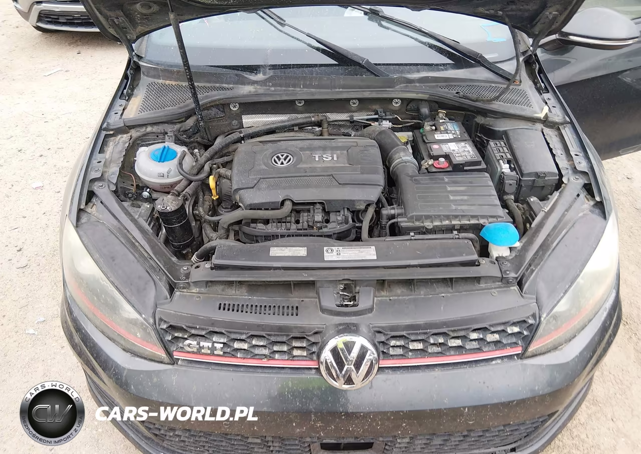 2016 Volkswagen Golf Gti Autobahn 4-Door VIN:3VW4T7AU7GM003341 - 10