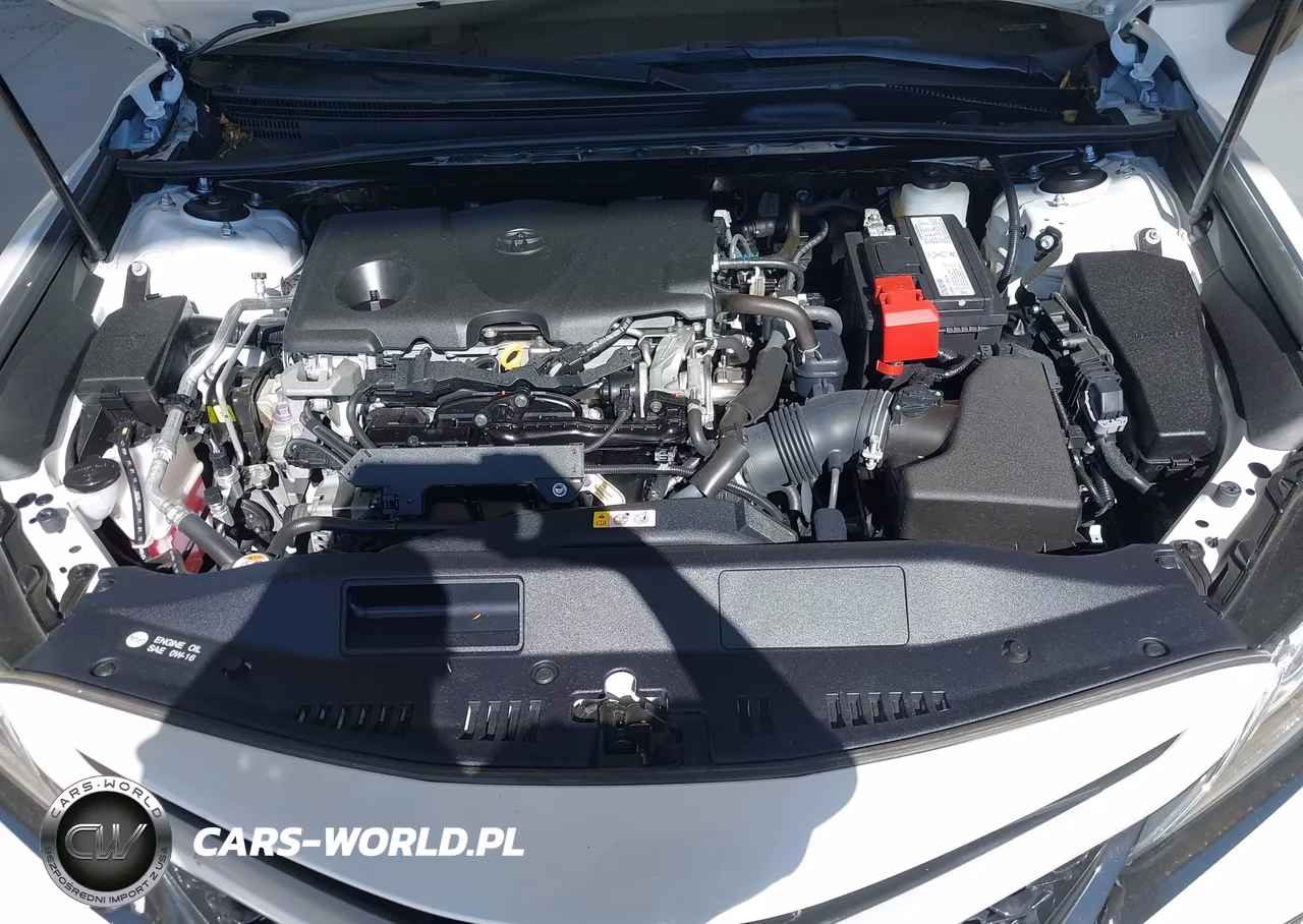 2019 Toyota Camry Xse VIN:4T1B61HK3KU831504 - 10