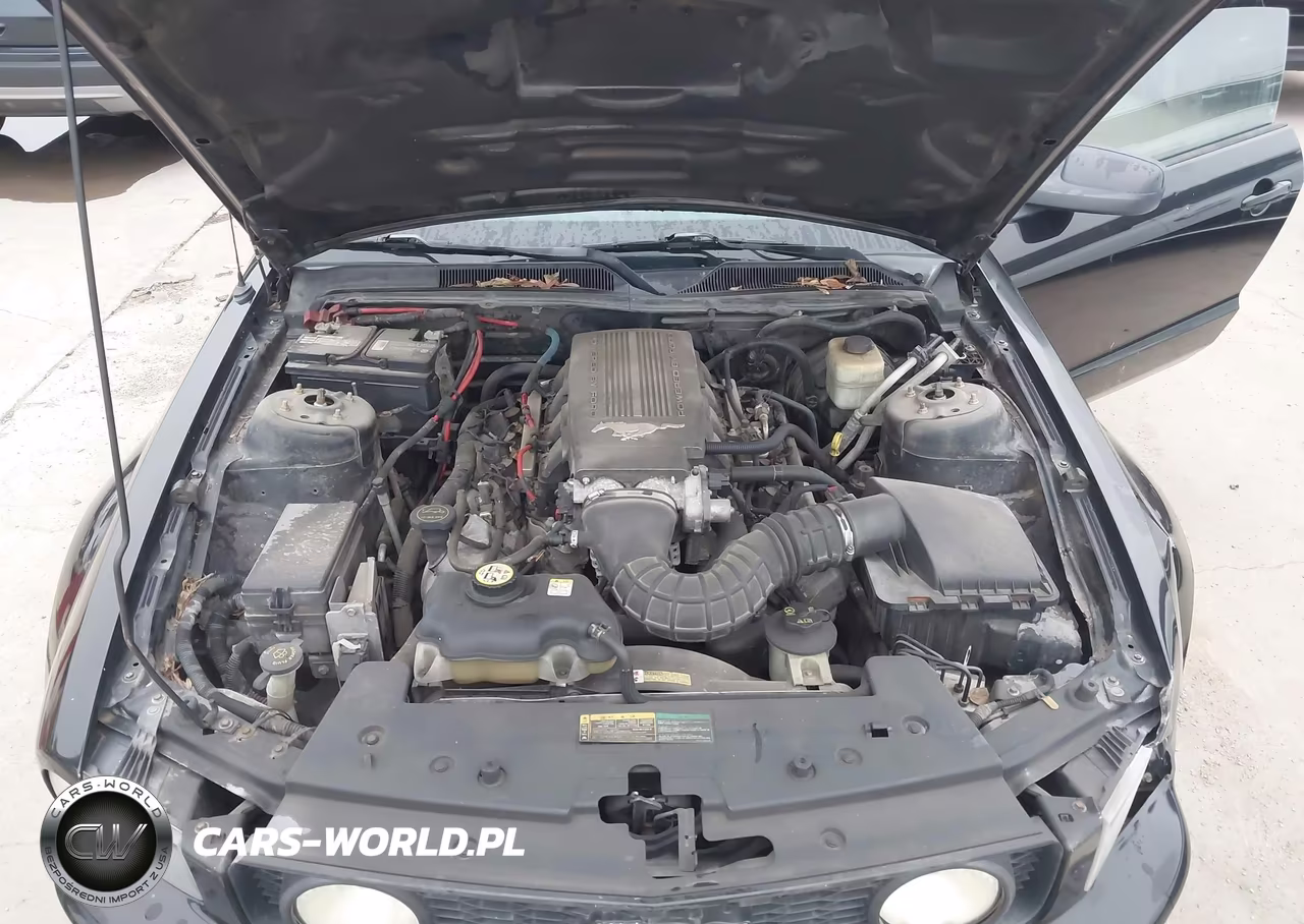 2007 Ford Mustang Gt Deluxe-Gt Premium VIN:1ZVFT85H575305762 - 10