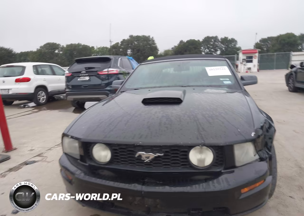 2007 Ford Mustang Gt Deluxe-Gt Premium VIN:1ZVFT85H575305762 - 13