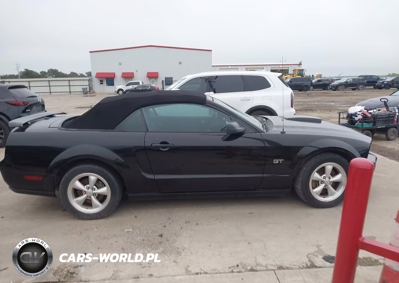 2007 Ford Mustang Gt Deluxe-Gt Premium VIN:1ZVFT85H575305762 - 14
