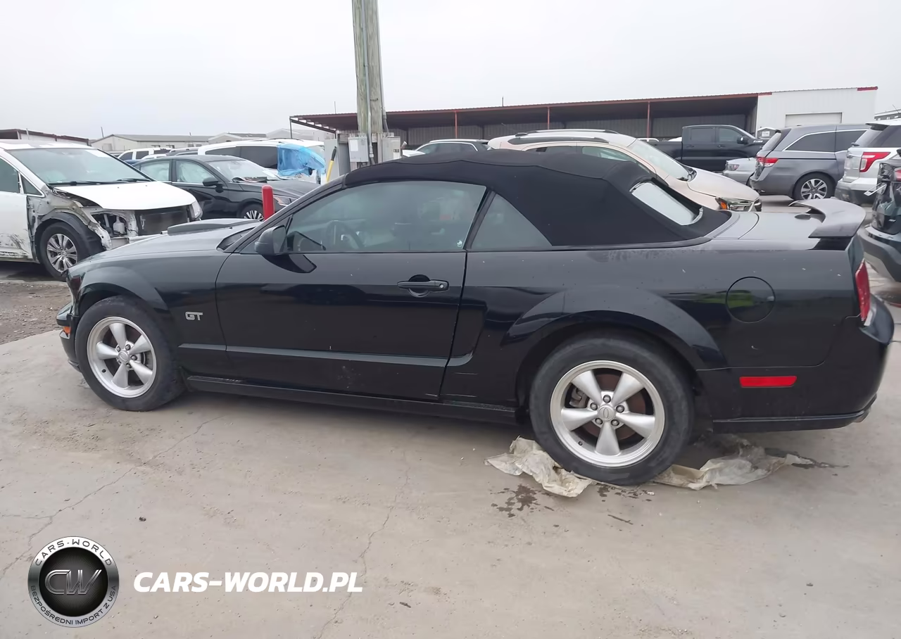 2007 Ford Mustang Gt Deluxe-Gt Premium VIN:1ZVFT85H575305762 - 15