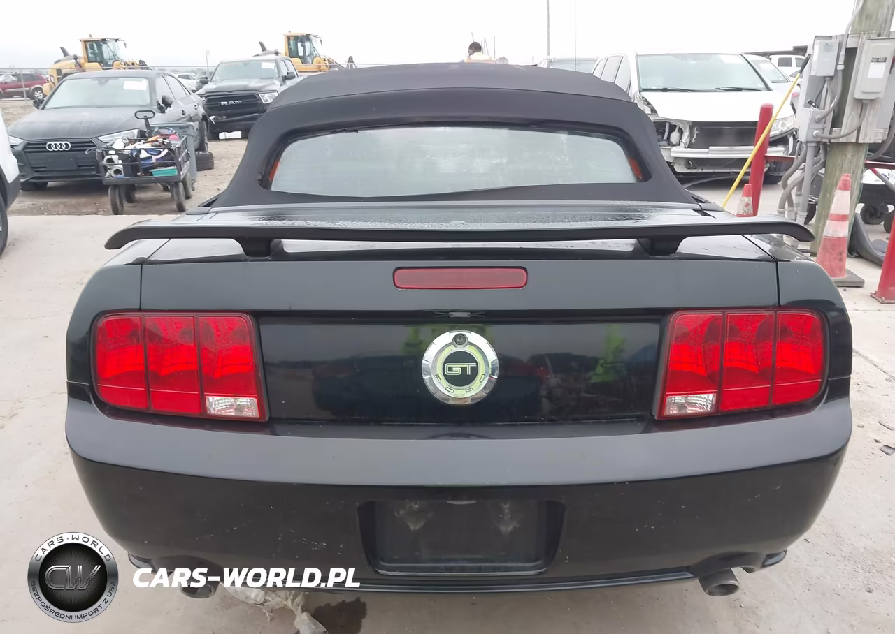 2007 Ford Mustang Gt Deluxe-Gt Premium VIN:1ZVFT85H575305762 - 17