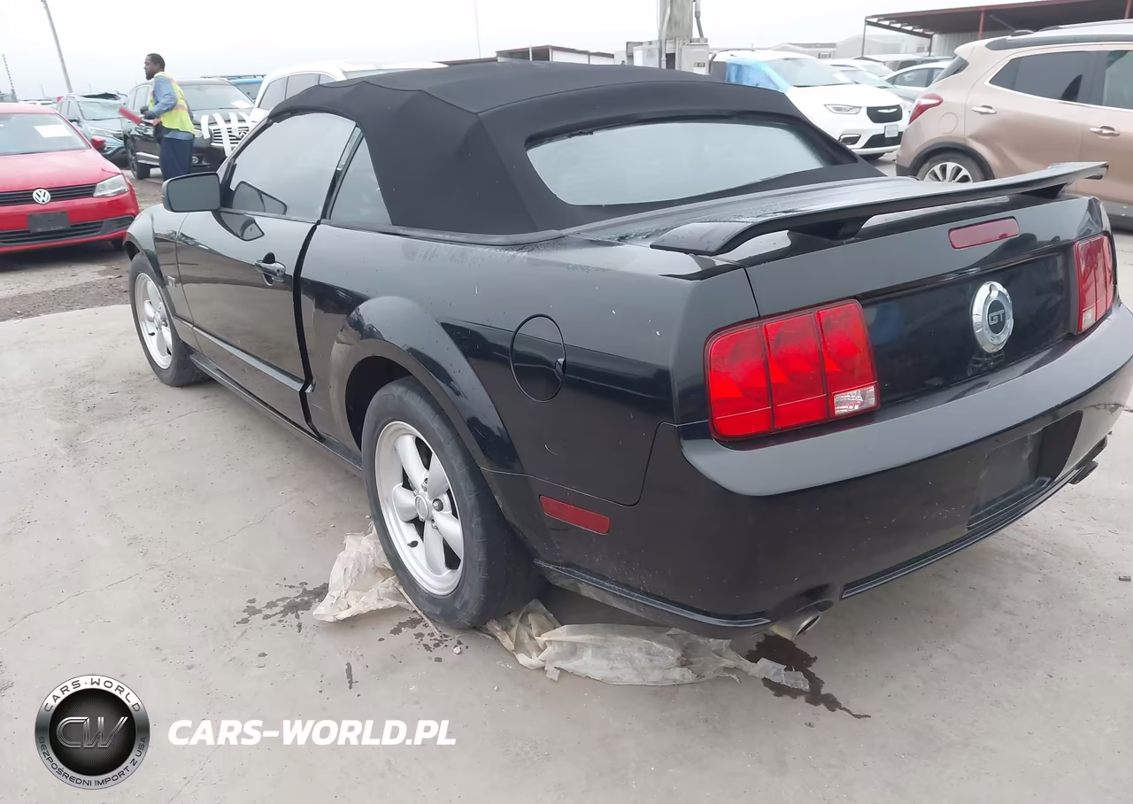 2007 Ford Mustang Gt Deluxe-Gt Premium VIN:1ZVFT85H575305762 - 3