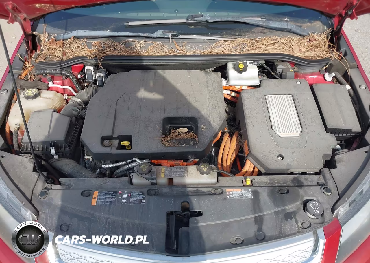 2013 Chevrolet Volt VIN:1G1RD6E45DU107417 - 10