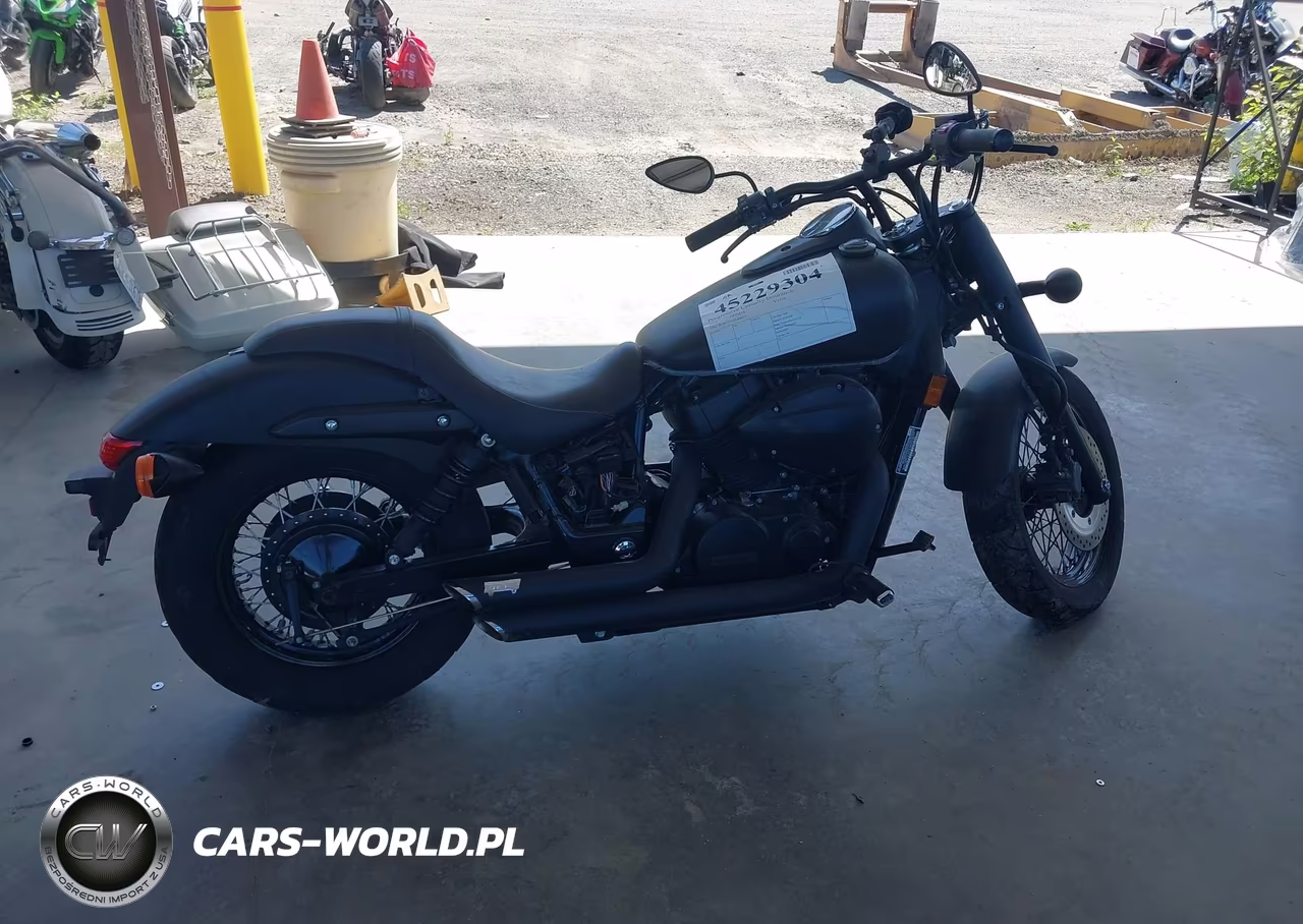 2018 Honda Vt750 C2B VIN:JH2RC5370JK800055 - 11