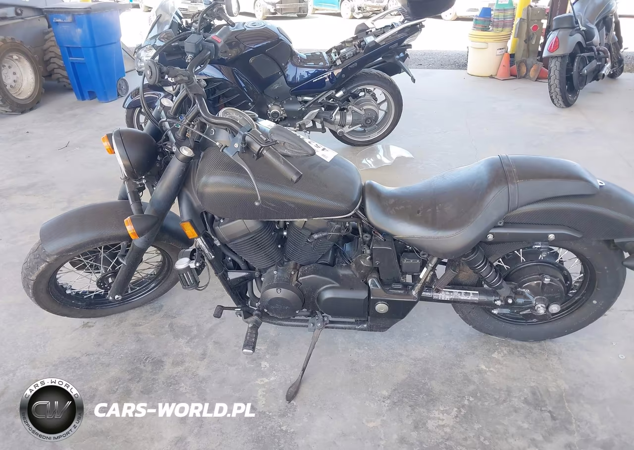 2018 Honda Vt750 C2B VIN:JH2RC5370JK800055 - 12