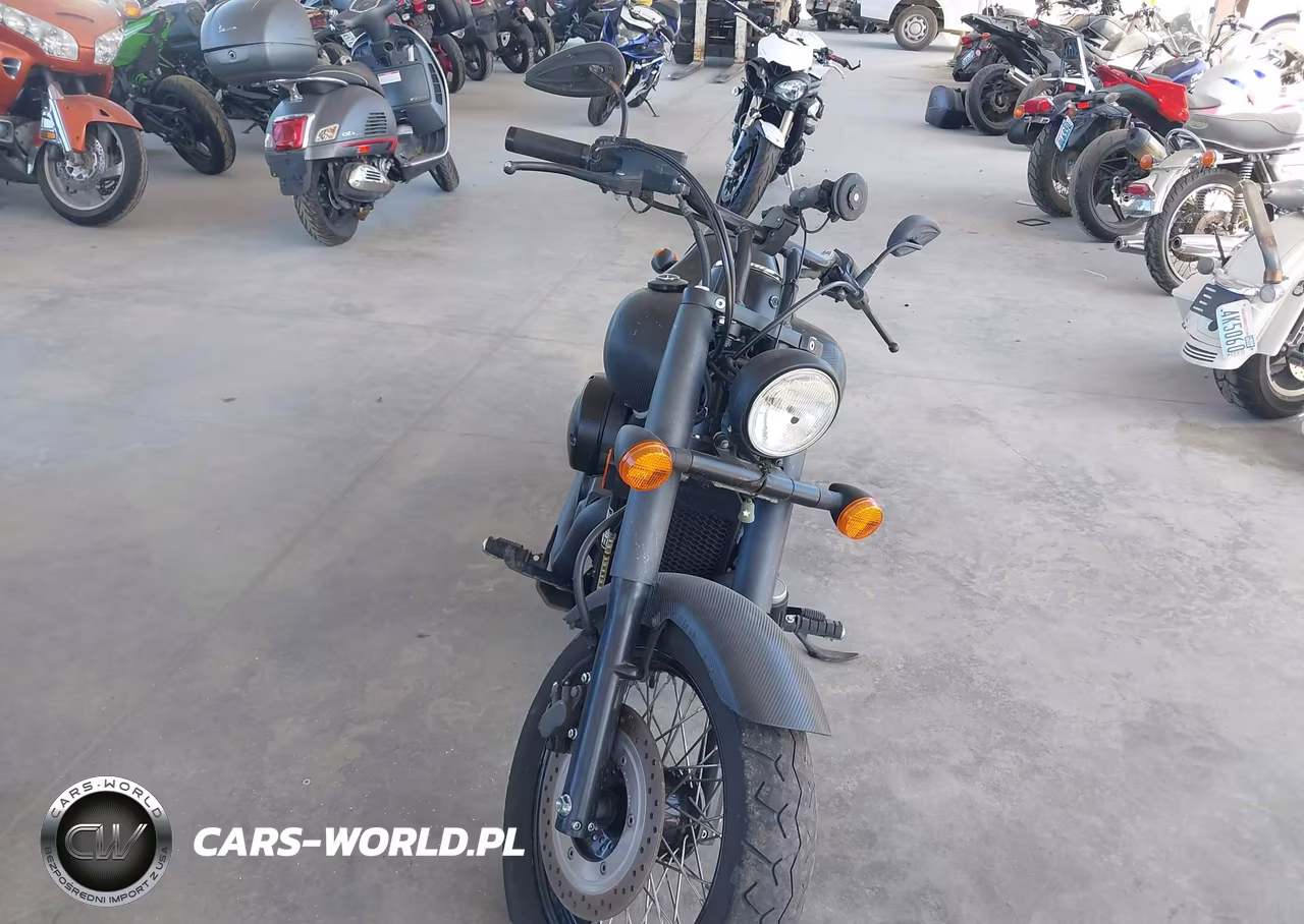 2018 Honda Vt750 C2B VIN:JH2RC5370JK800055 - 5