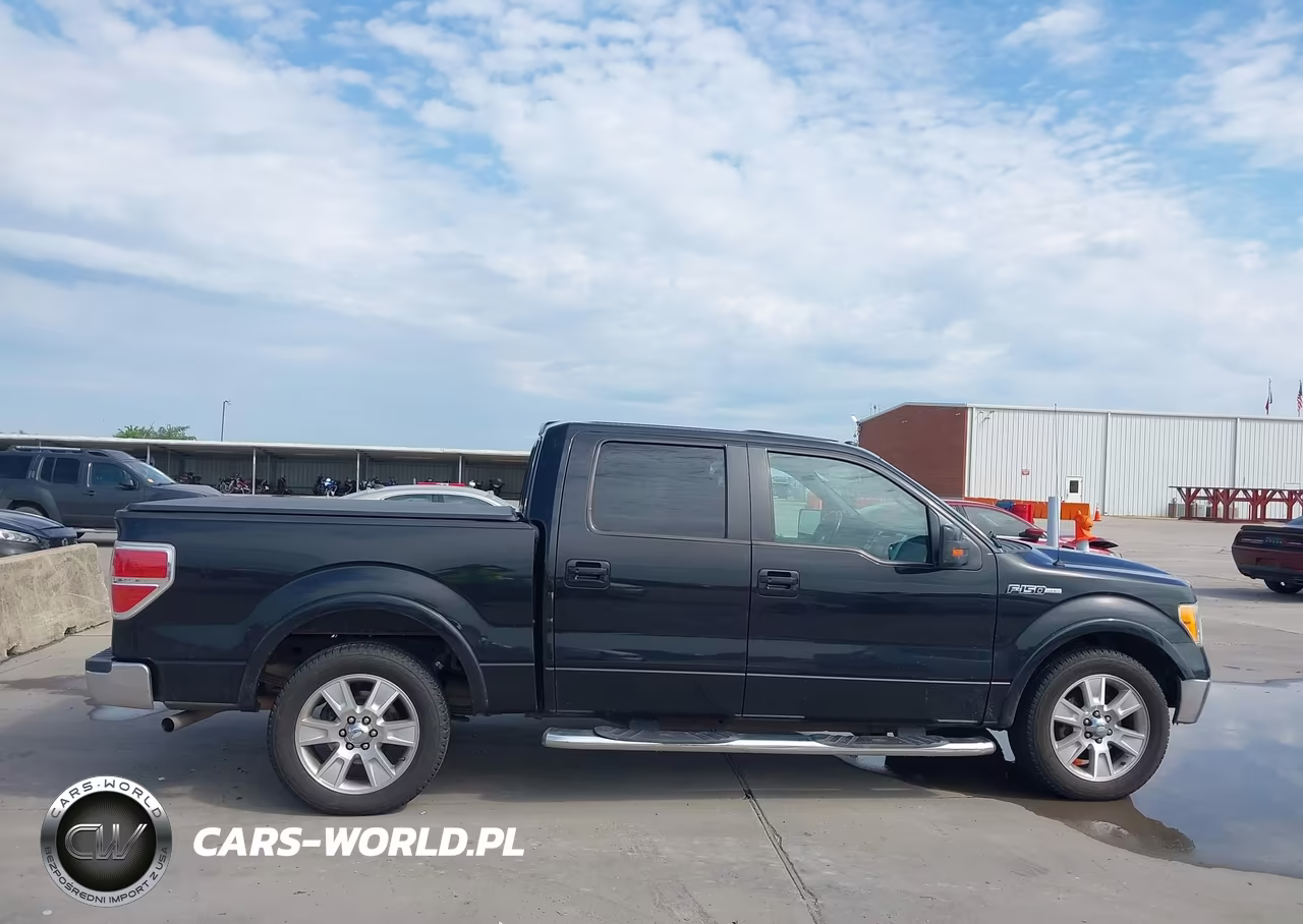 2010 Ford F-150 Fx2 Sport-Harley-Davidson-King Ranch-Lariat-Platinum-Xl-Xlt VIN:1FTFW1CV5AFB08425 - 13