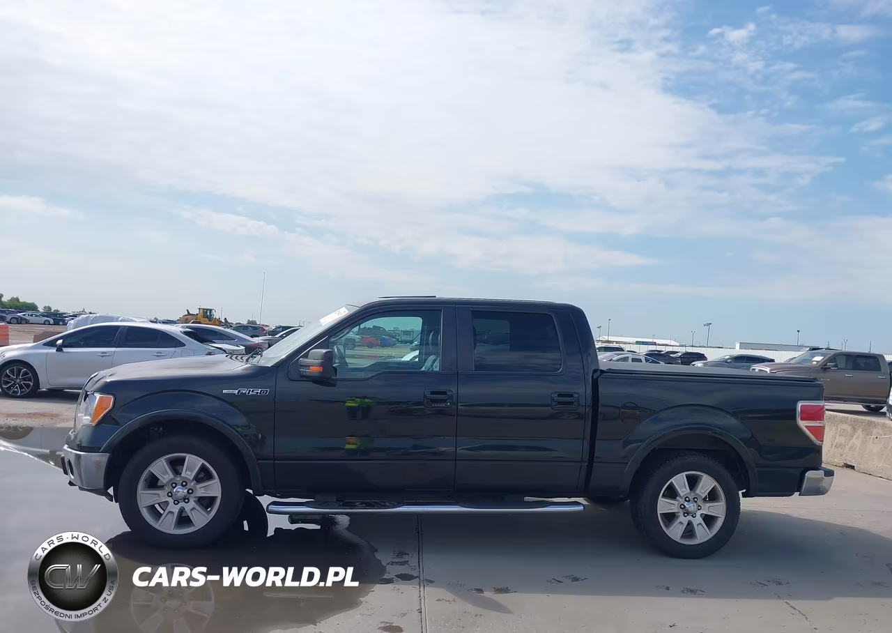 2010 Ford F-150 Fx2 Sport-Harley-Davidson-King Ranch-Lariat-Platinum-Xl-Xlt VIN:1FTFW1CV5AFB08425 - 14