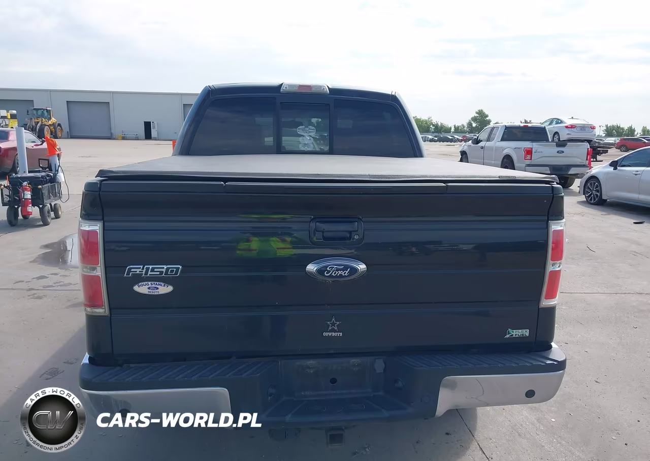 2010 Ford F-150 Fx2 Sport-Harley-Davidson-King Ranch-Lariat-Platinum-Xl-Xlt VIN:1FTFW1CV5AFB08425 - 16