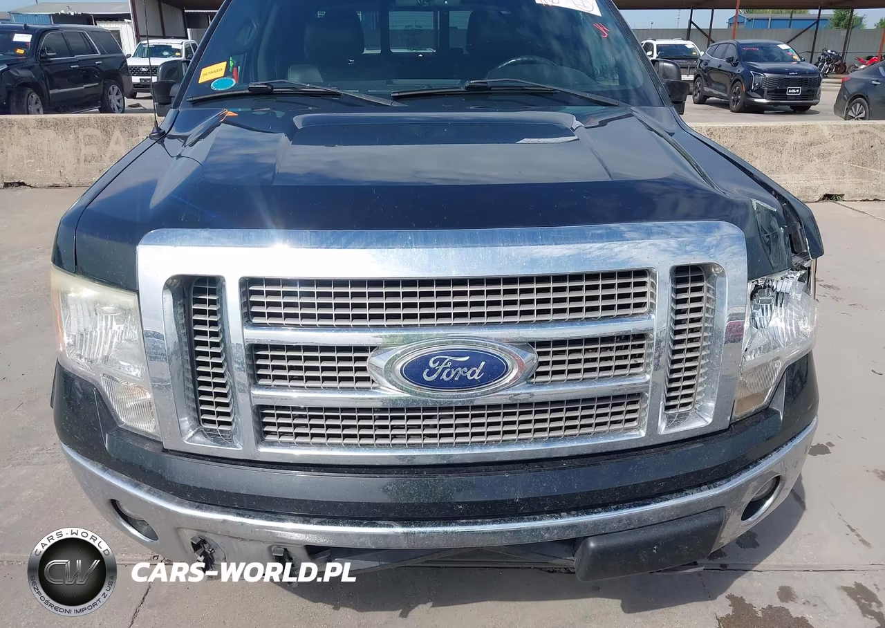 2010 Ford F-150 Fx2 Sport-Harley-Davidson-King Ranch-Lariat-Platinum-Xl-Xlt VIN:1FTFW1CV5AFB08425 - 6