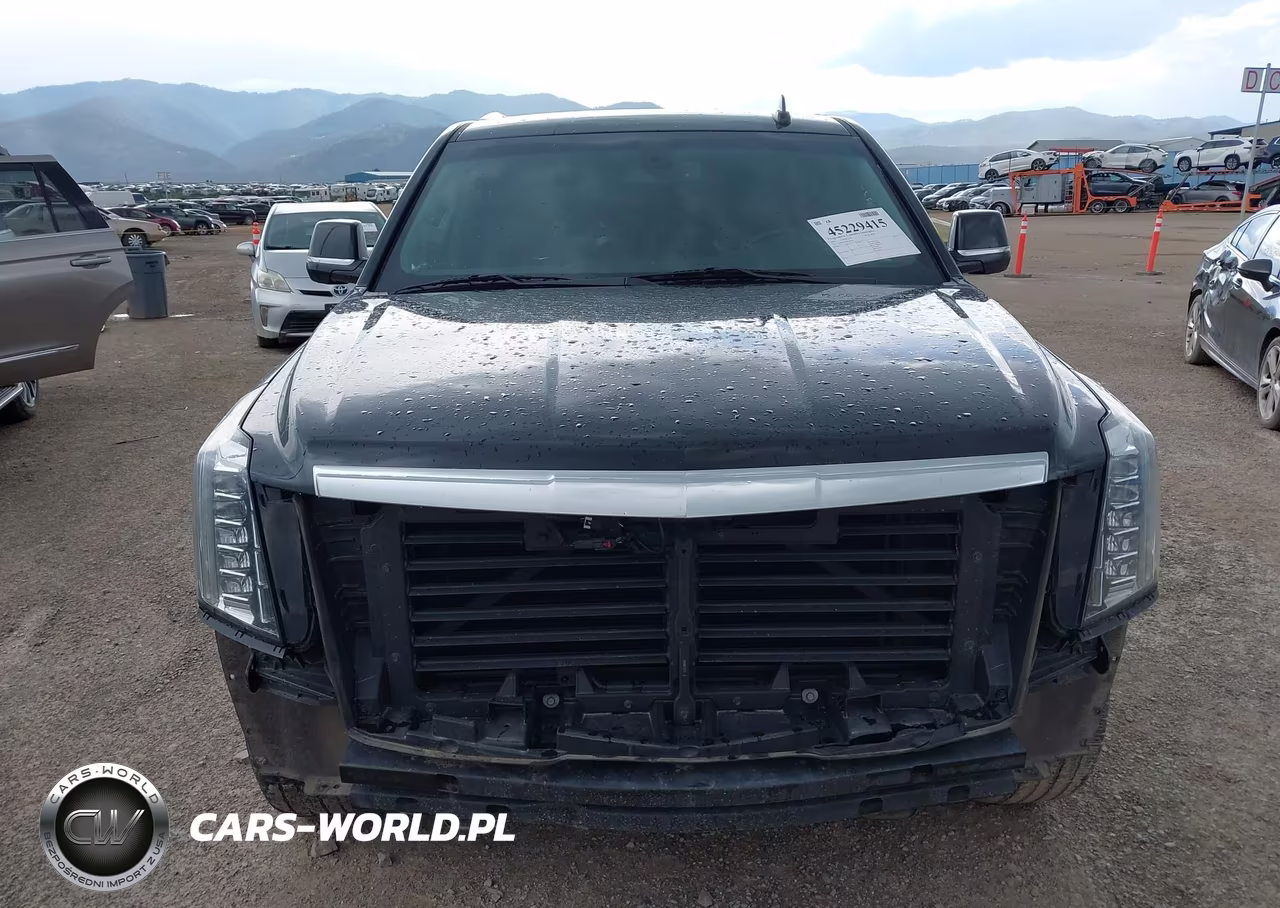 2018 Cadillac Escalade Standard VIN:1GYS4AKJ7JR254529 - 13