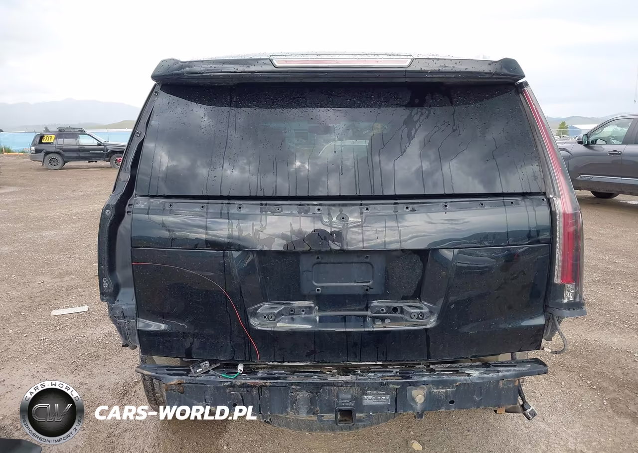 2018 Cadillac Escalade Standard VIN:1GYS4AKJ7JR254529 - 17