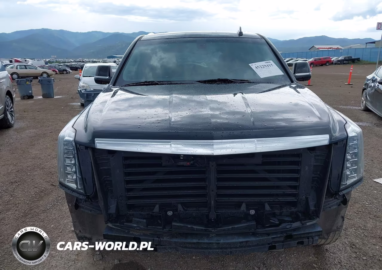 2018 Cadillac Escalade Standard VIN:1GYS4AKJ7JR254529 - 19