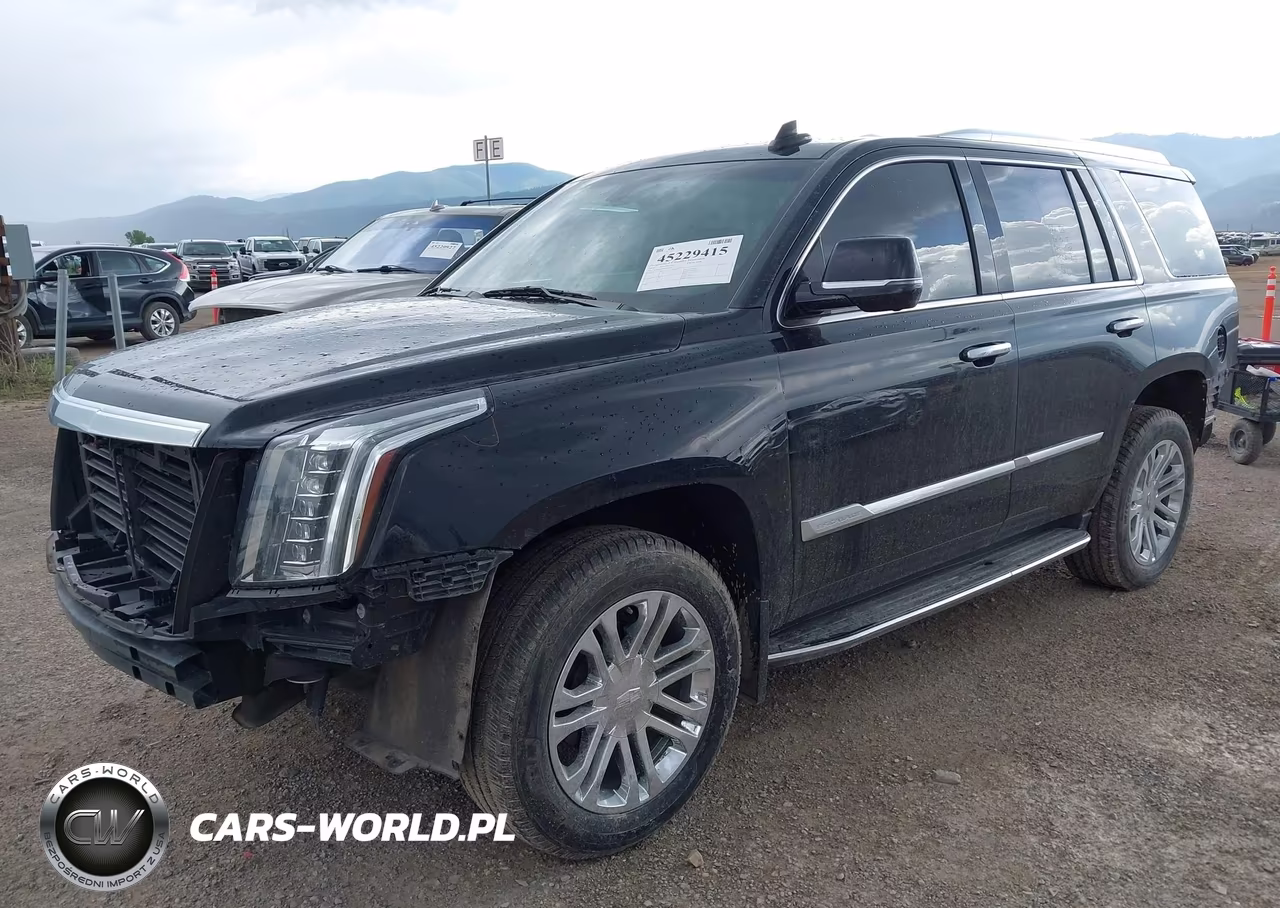 2018 Cadillac Escalade Standard VIN:1GYS4AKJ7JR254529 - 2